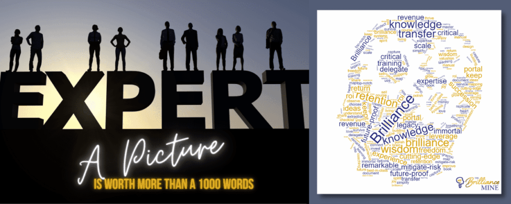 brilliance word cloud for experts