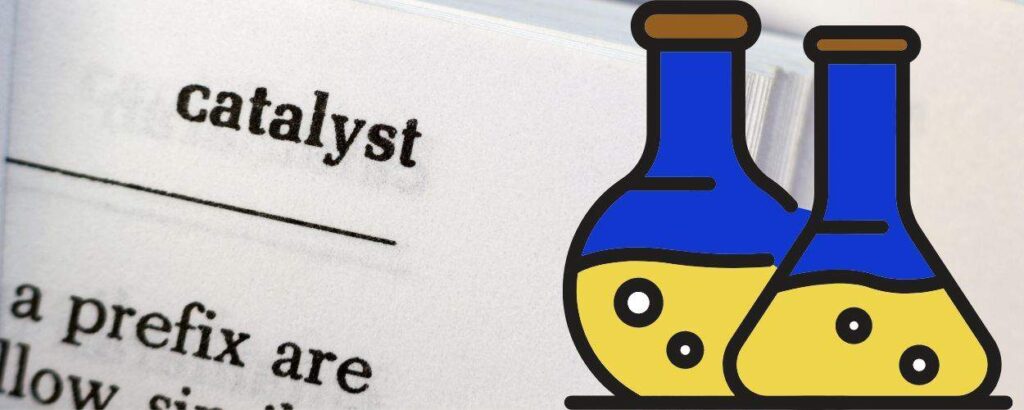 As A Scientist, I Finally Understood The Catalytic Value Of Coaching.