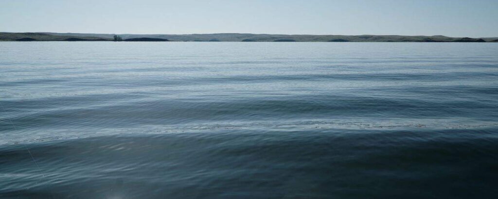 the stillness is you