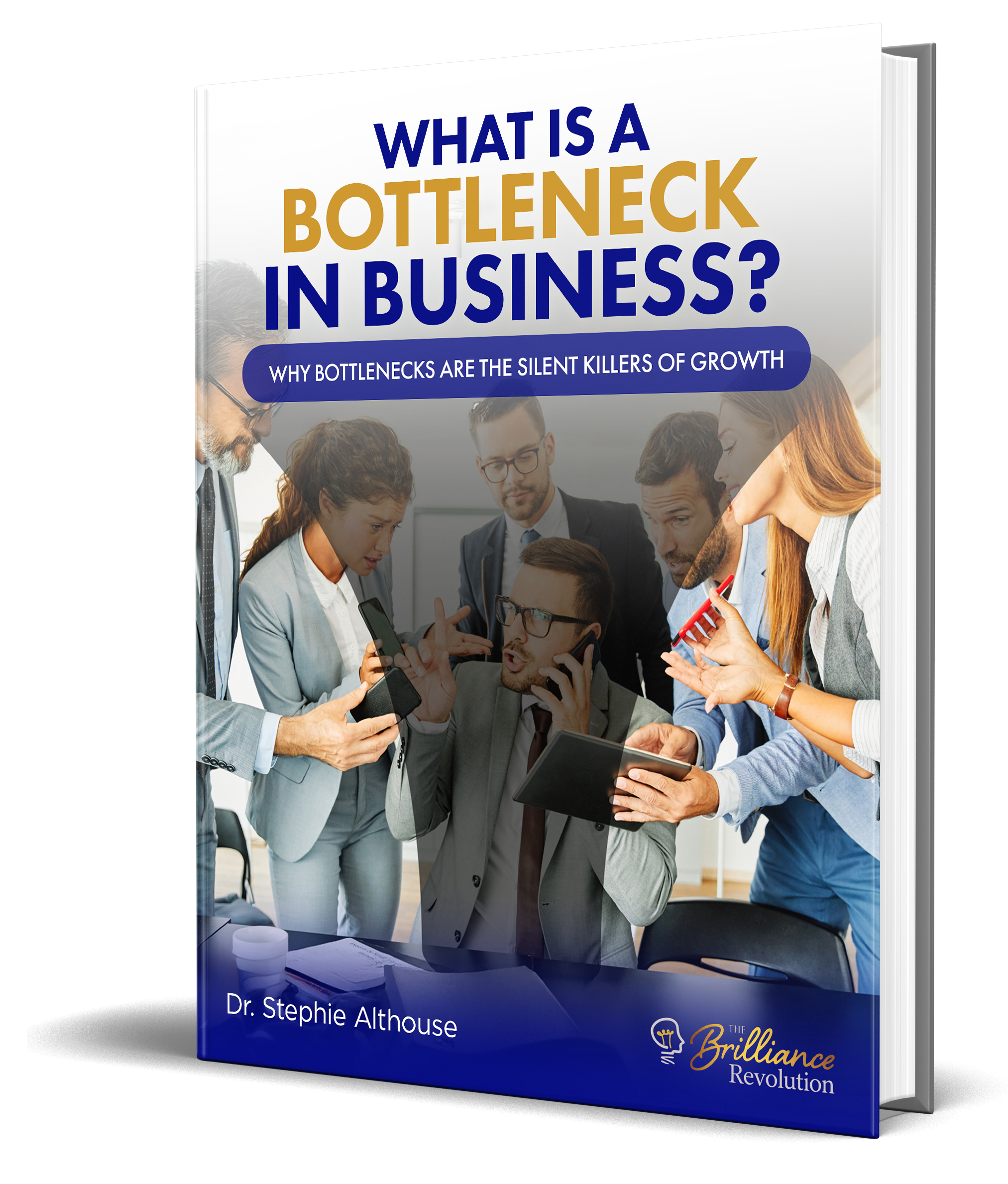 Bottleneck and Business E-Book